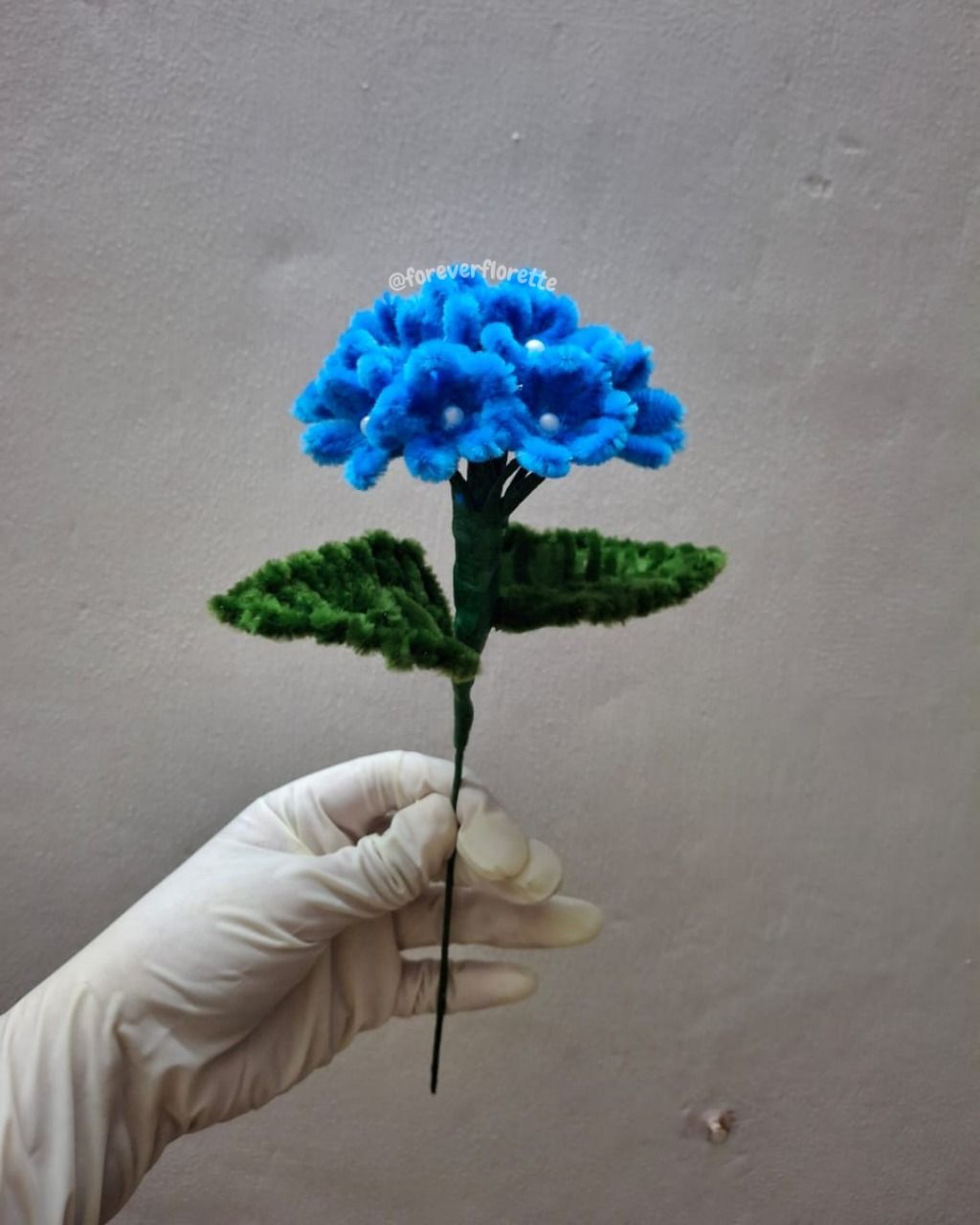 hidrângea fleursetfil